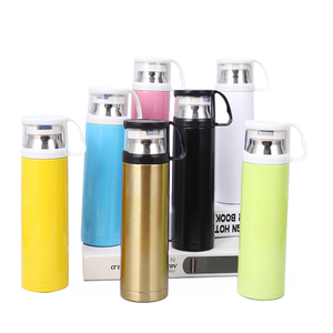 Fascola di ferro in acciaio inossidabile isolato a vuoto THERMO